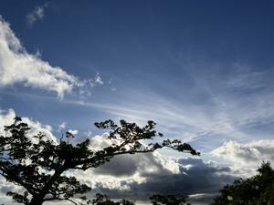 空