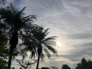 空