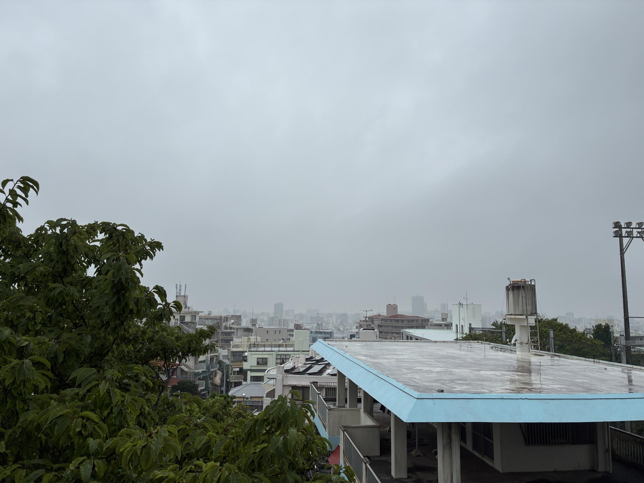 雨