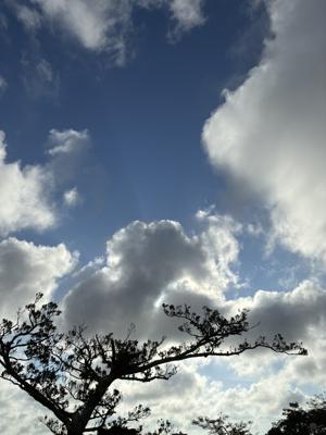 空
