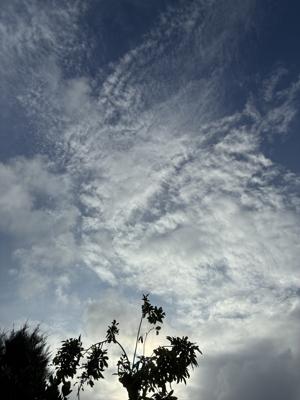 空