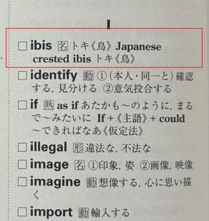 ラダーシリーズ