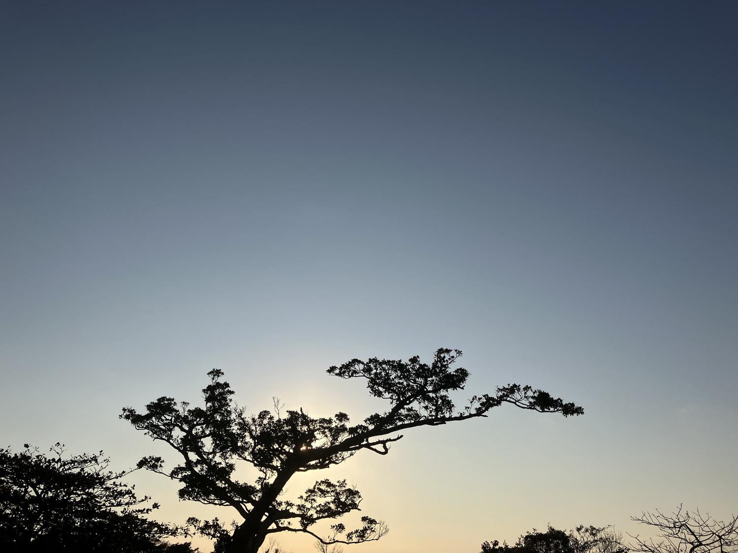 イェスタディの１７時２６分