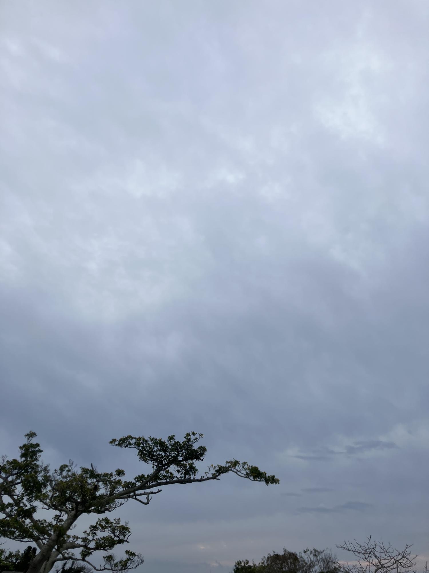 イェスタディの１７時２９分