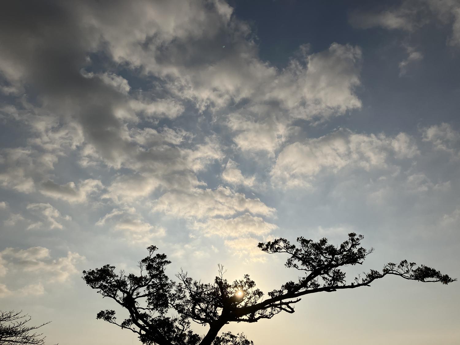 イェスタディの１７時３８分