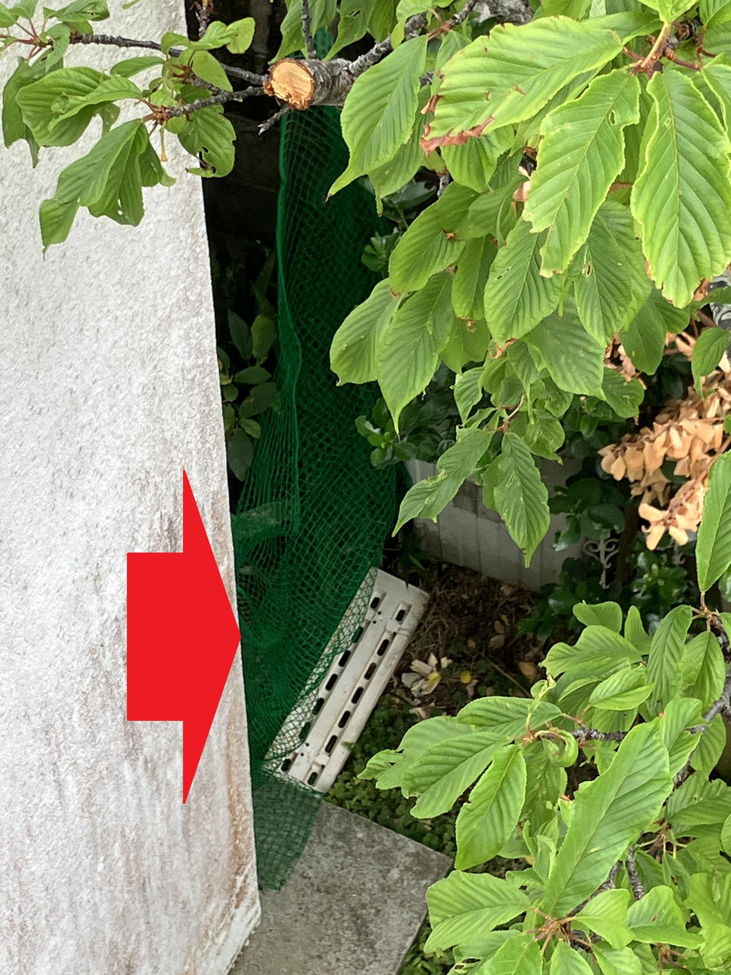 裏庭のもう一つの猫よけネット