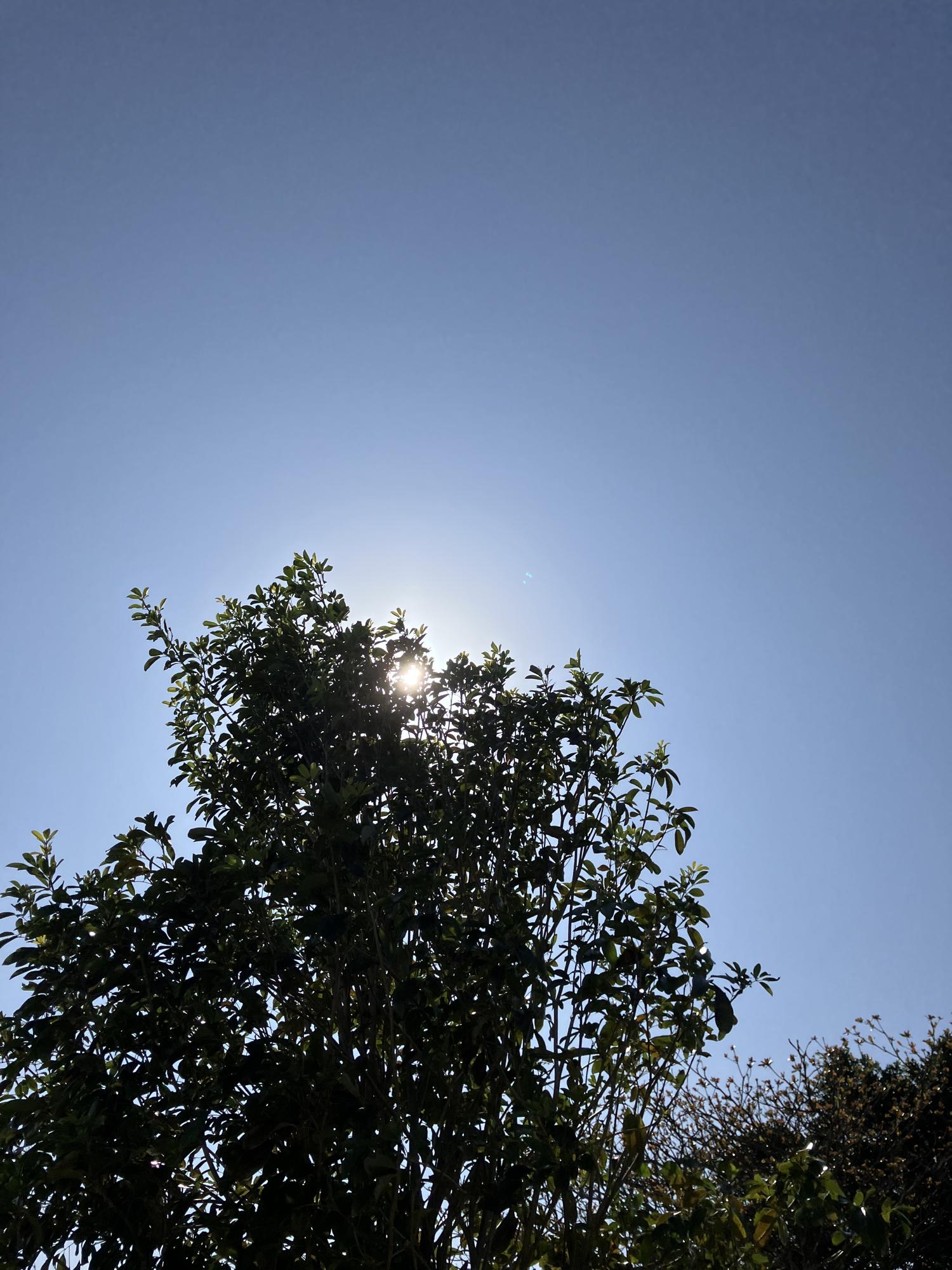 イェスタディの１５時３６分